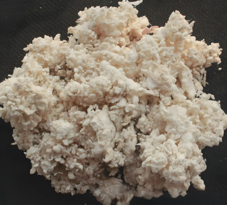 cotton pulp