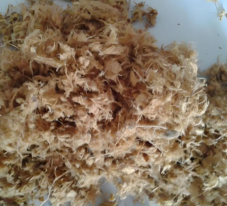 wood and bamboo pulp