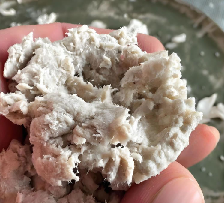 chemical pulp