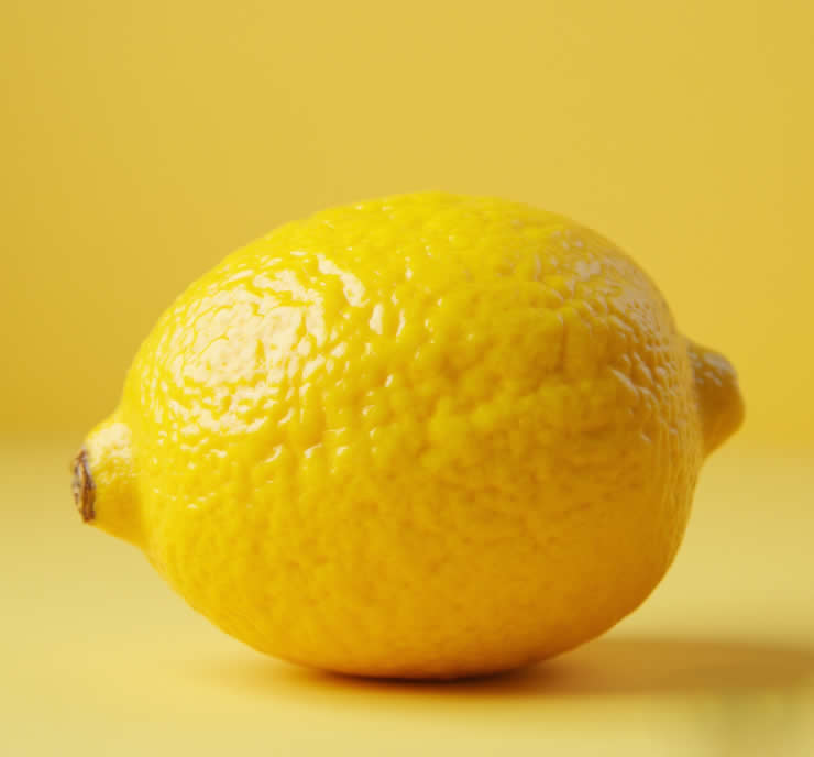 Screw Press for Lemon Juice