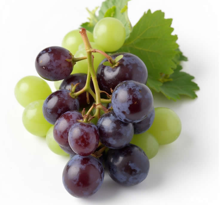 Processing Grape Juice