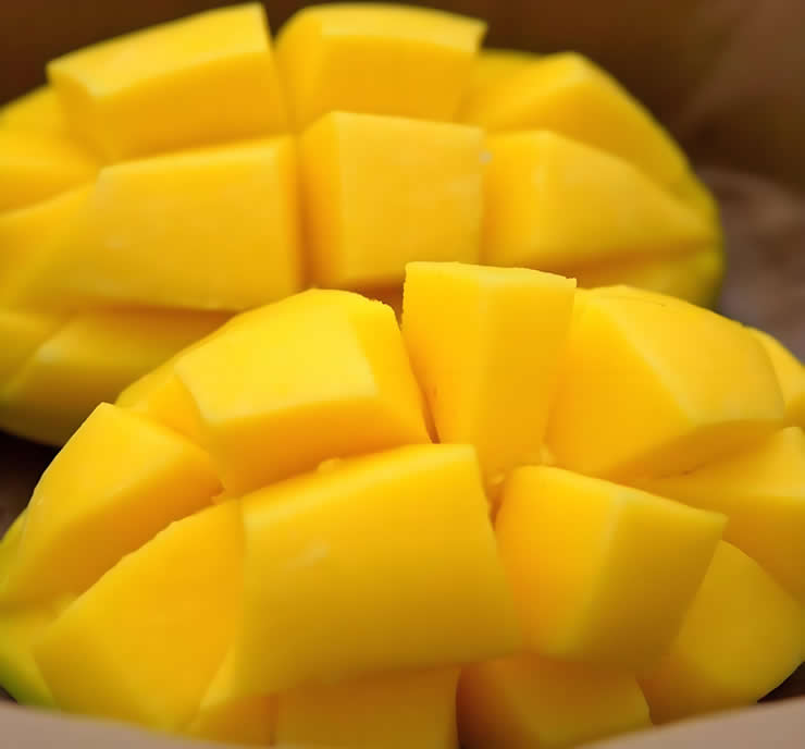 Screw Press for Mango Juice
