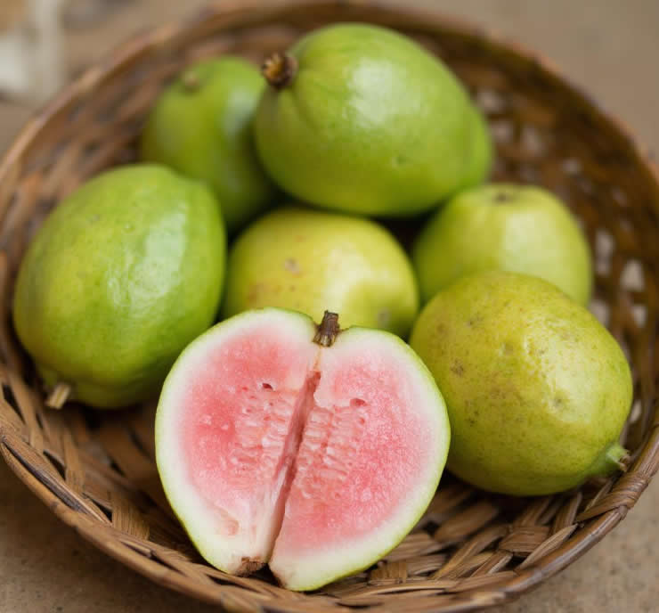 Screw Press for Guava Juice Extraction