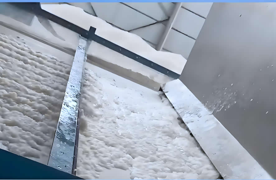 Screw Press for Pulp Dewatering: Efficient Solutions for Wastewater Management