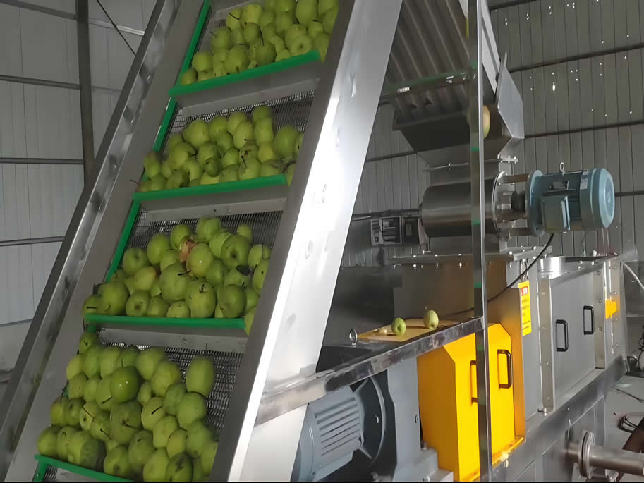 Enhancing Fruit Juicing with Lyure’s ED-D15T Screw Press in Anhui