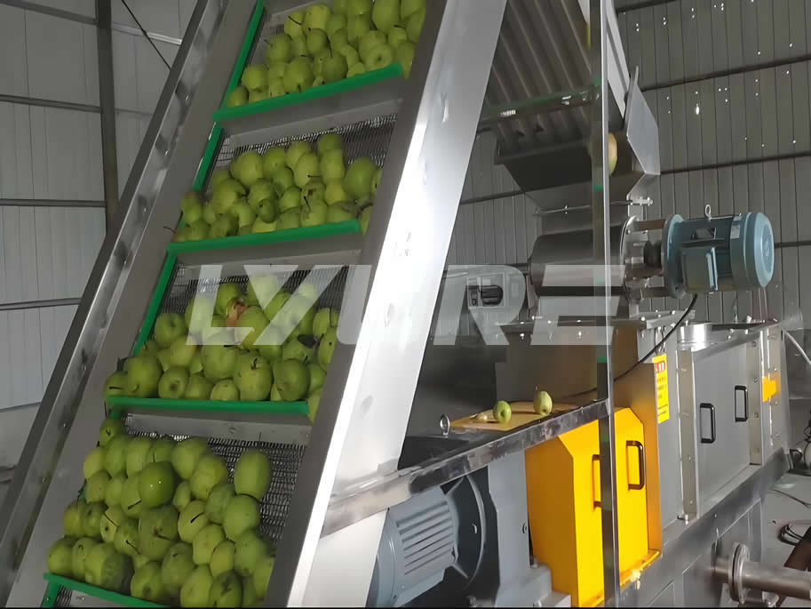 Enhancing Fruit Juicing with Lyure’s ED-D15T Screw Press in Anhui
